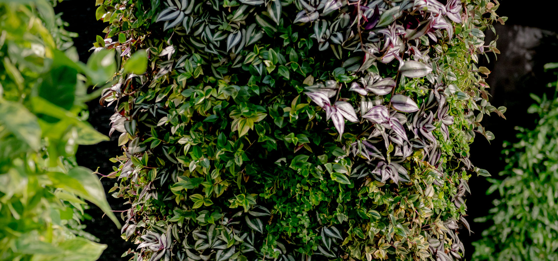 Gartenhof K�sters - Carolus Thermen