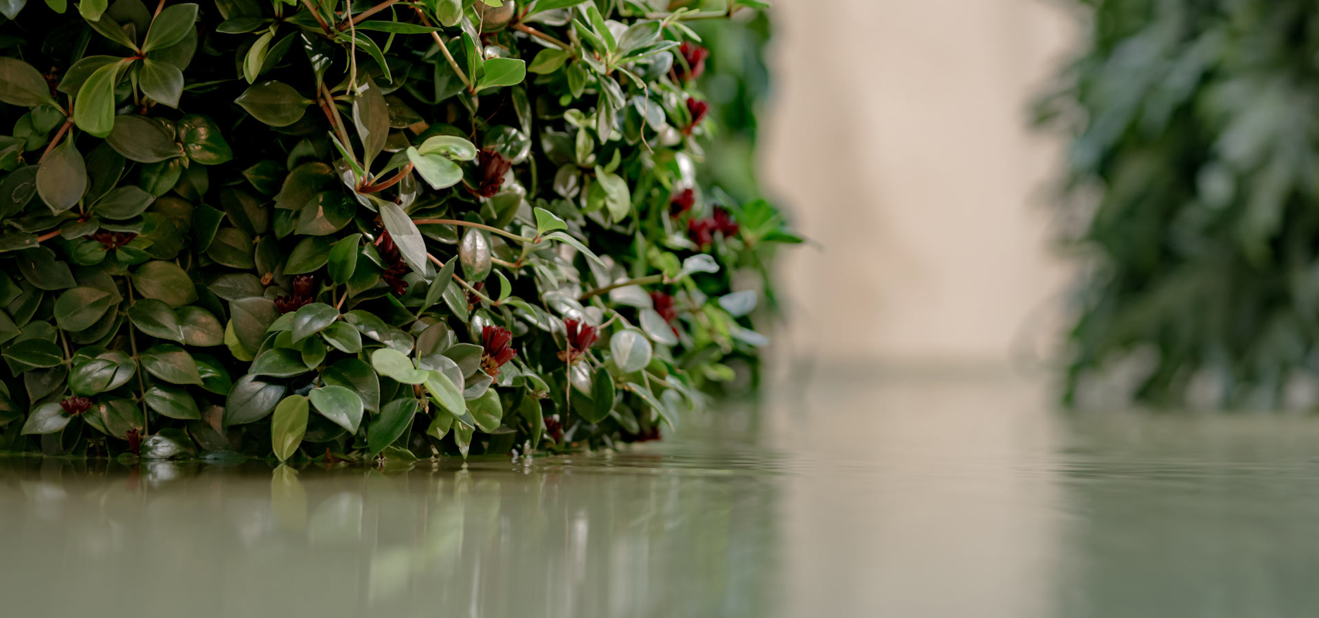 Gartenhof K�sters - Carolus Thermen