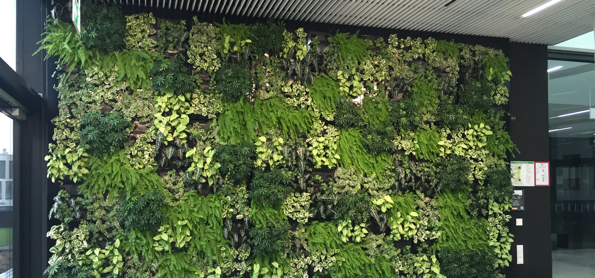 Gartenhof K�sters - Indoor-Wandbegr�nungen